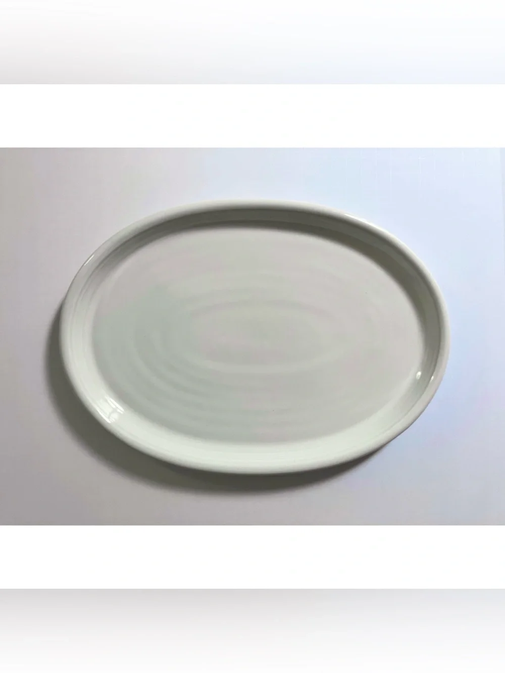 Crate & Barrel Off-White Modern Oval Stoneware Platter
